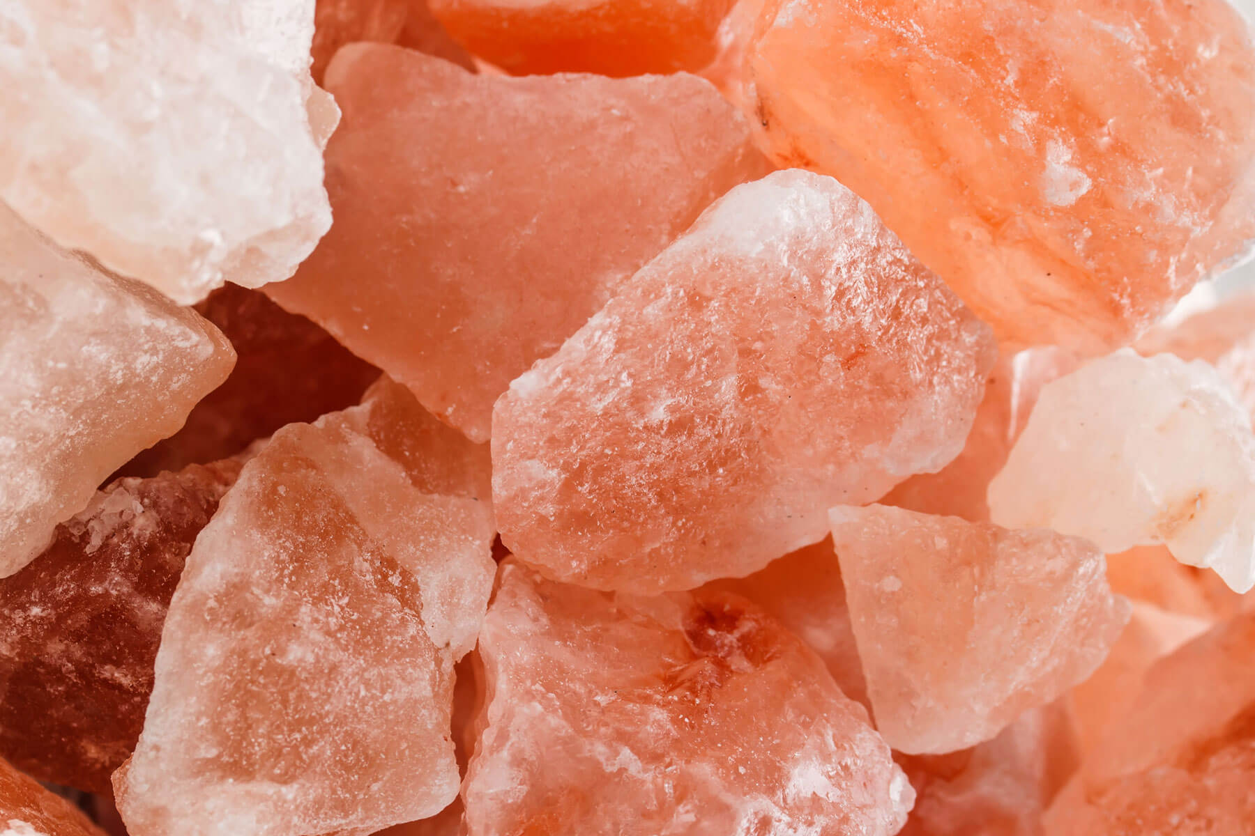 Salz-des-Lebens-Salz-1